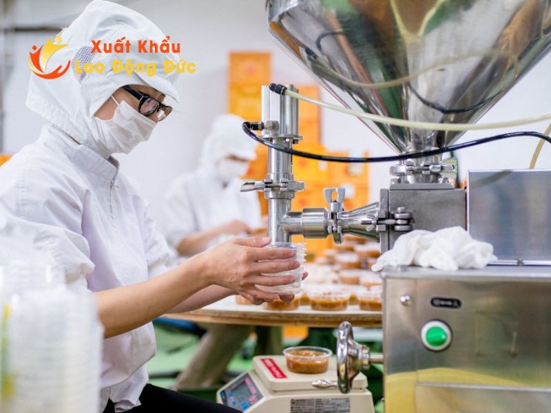 Ngành chế biến thực phẩm